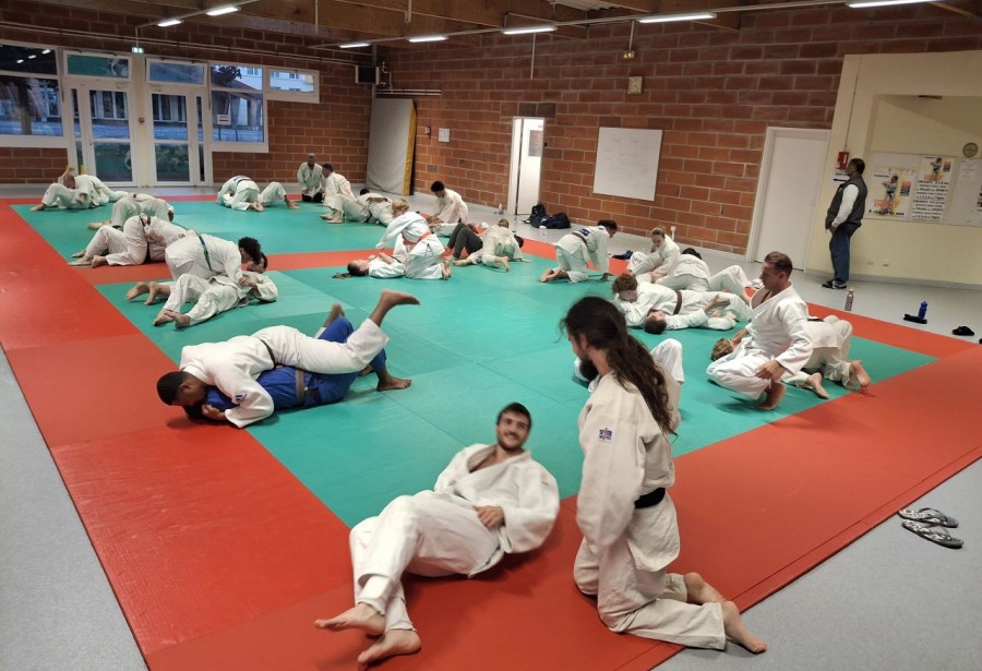 Le  ne waza dit le judo au sol .....